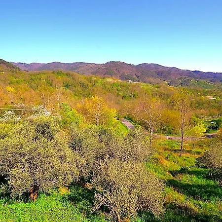 Rustic Charm In Liguria Sesta Godano