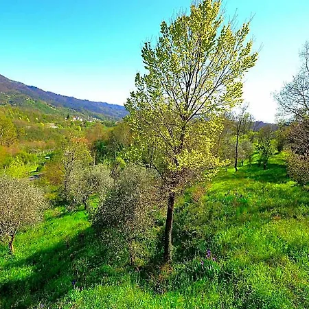 Hotel Rustic Charm In Liguria Sesta Godano